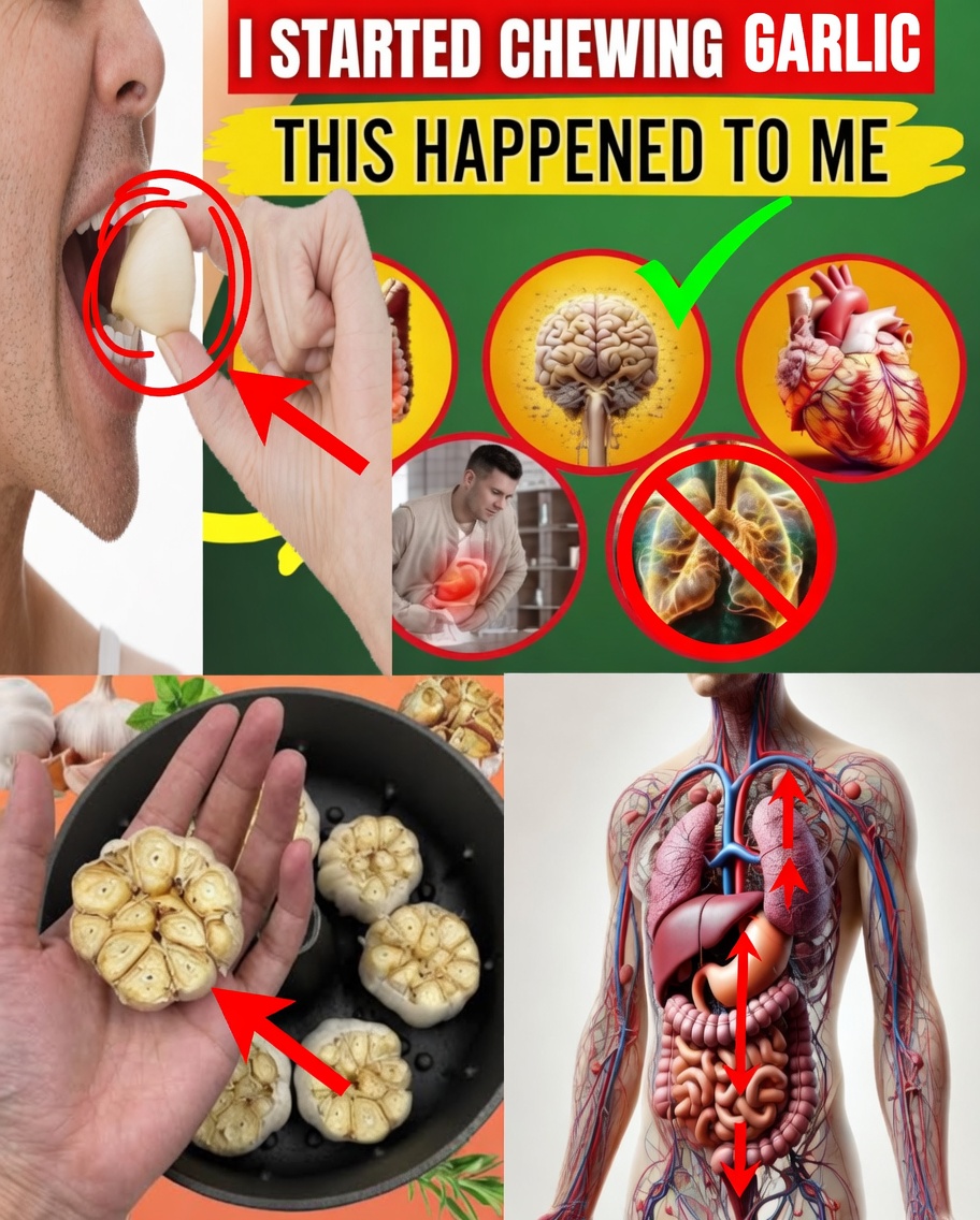 Just Started Chewing 2 Garlic Cloves and Said Goodbye to 10 Health Problems