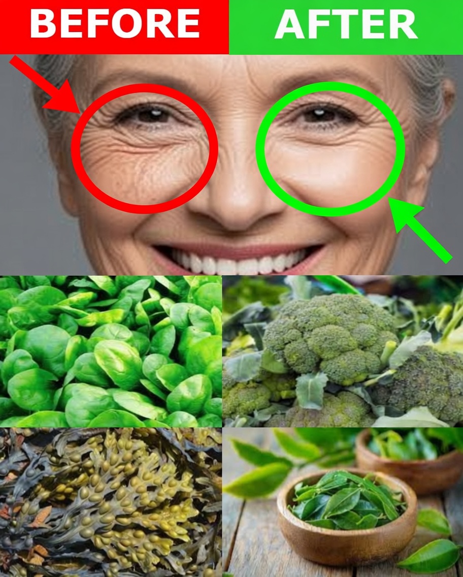 5 Essential Leaves to Naturally Improve Your Eyesight