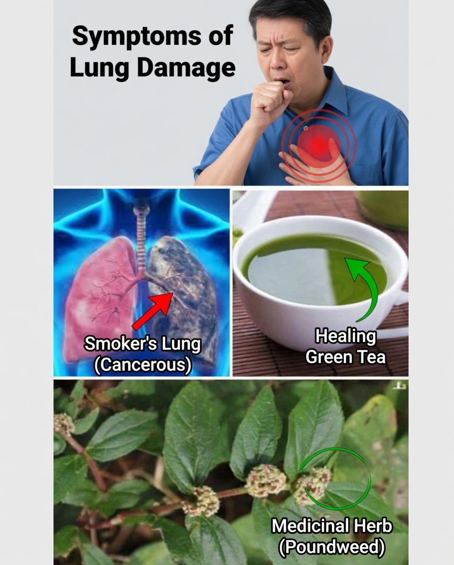 Cleanse Your Lungs and Eliminate That Annoying Cough with Natural Recipes