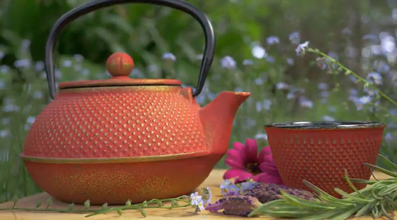 Top 15 Herbs That Can Kill Infections and Clear Mucus From the Lungs