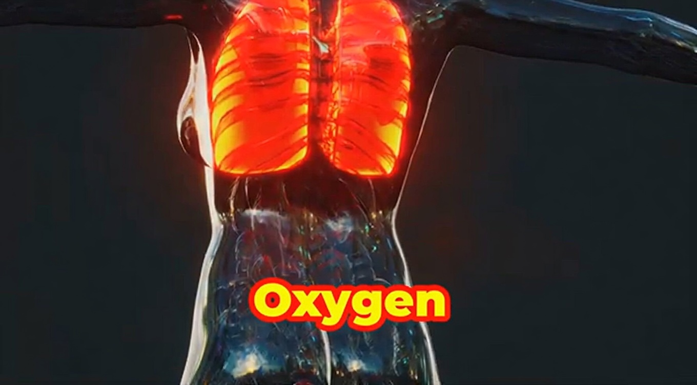 Top 15 Herbs That Can Kill Infections and Clear Mucus From the Lungs