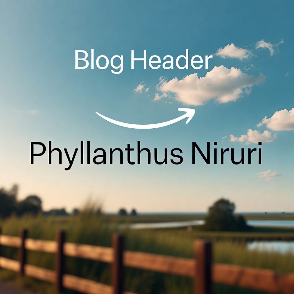 Phyllanthus Niruri: The Natural Kidney Stone Breaker
