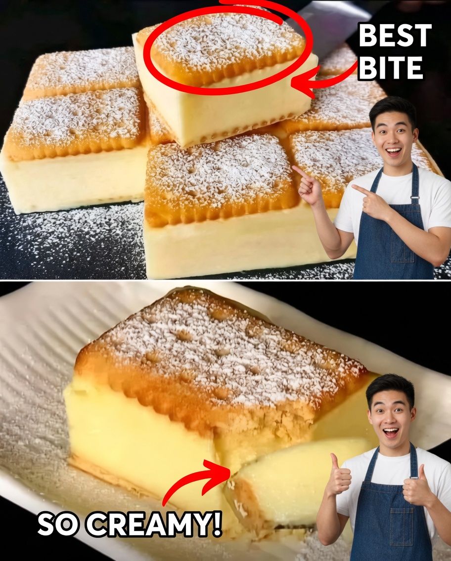 Creamy Biscuit Custard Cake