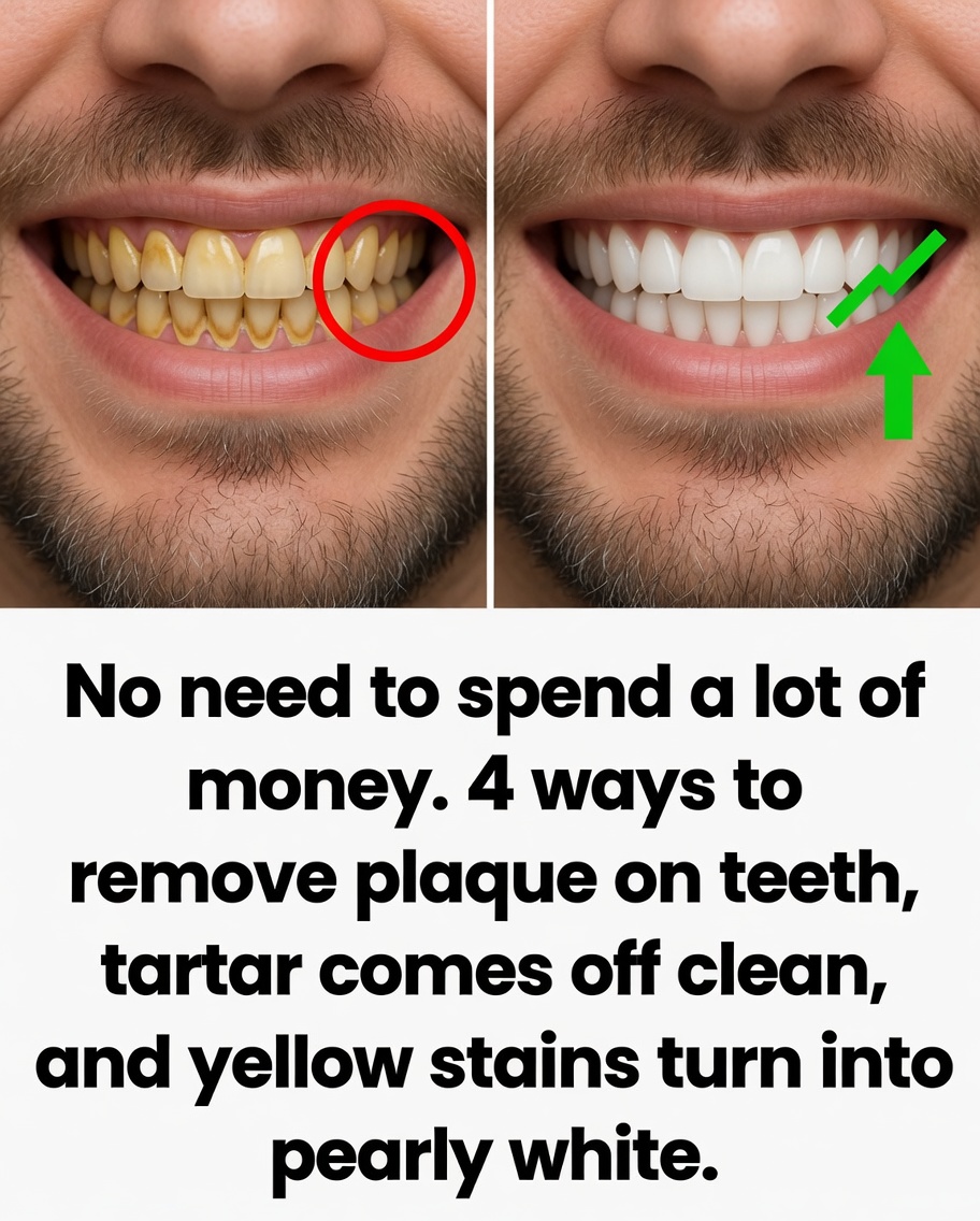 Don’t Waste Money at the Dentist Anymore
