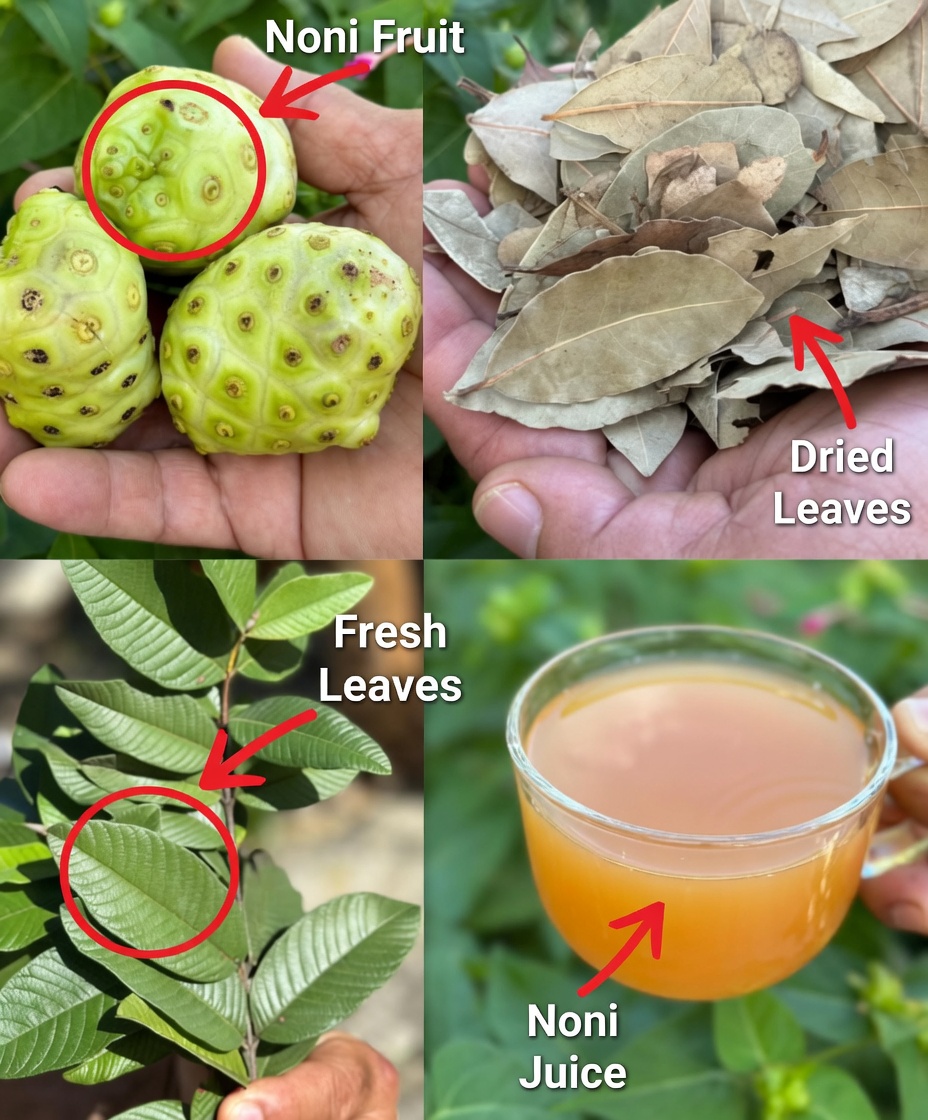 Say Goodbye to Cancer, Swollen Feet, Diabetes,