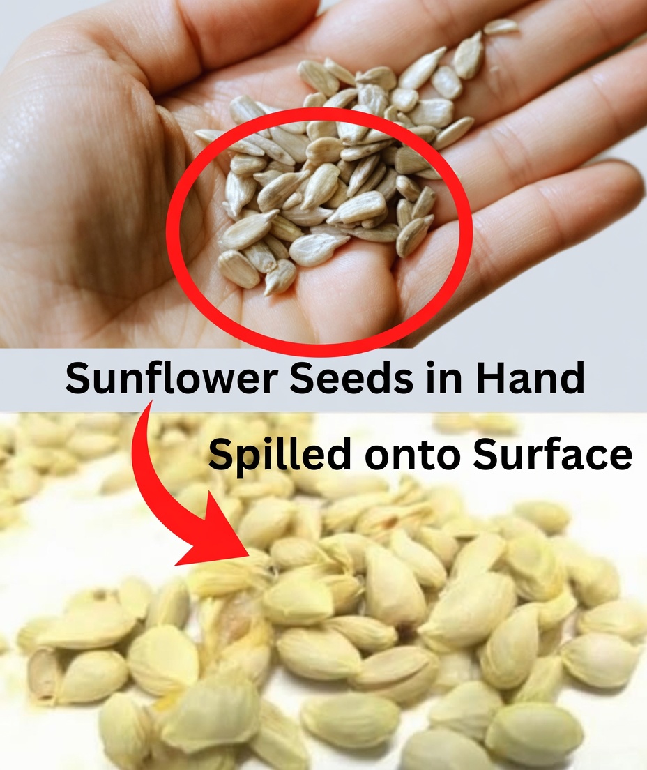 Alleviate Headaches Naturally with These Seeds