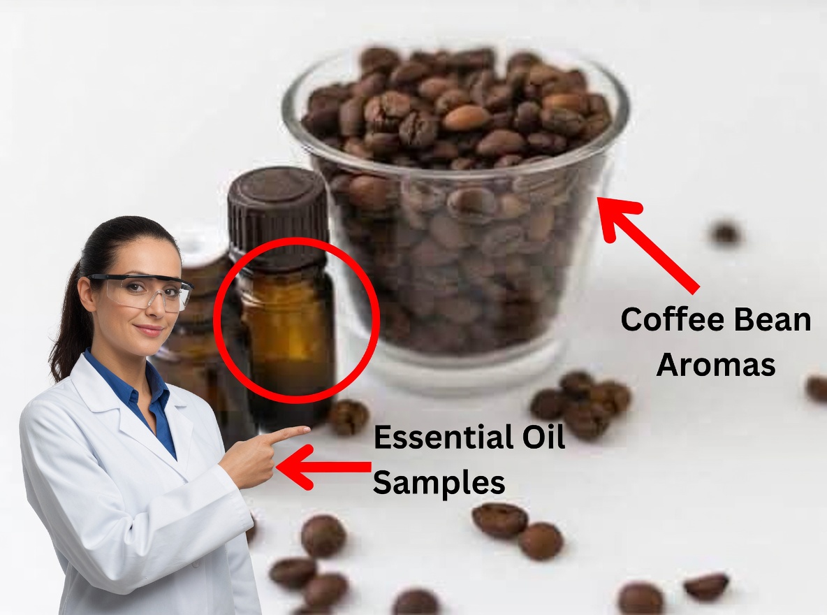 Natural Coffee Oil for Skin Rejuvenation and Anti-Aging