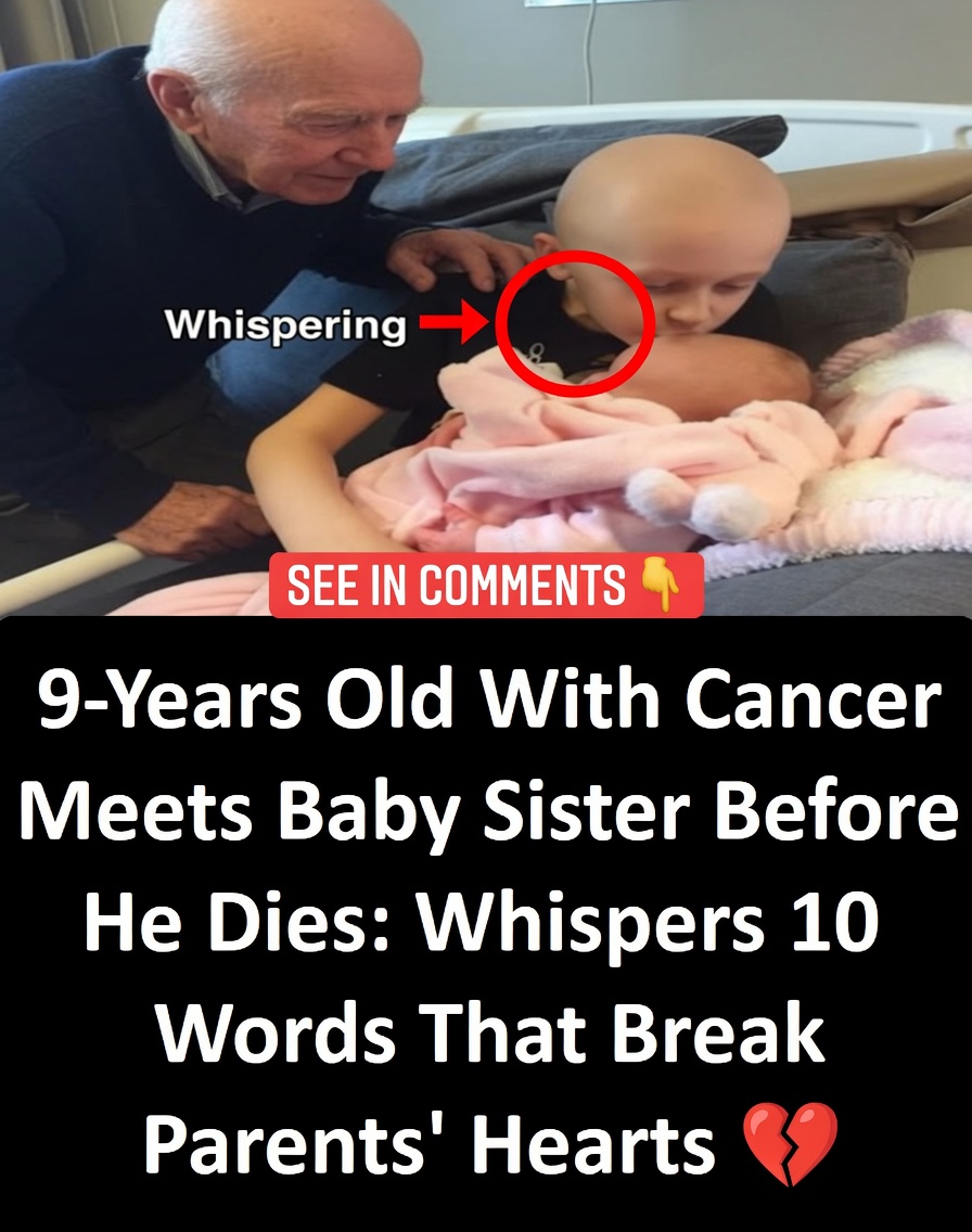 9-year-old with cancer meets baby sister before he dies: whispers 10 words that break parents’ hearts