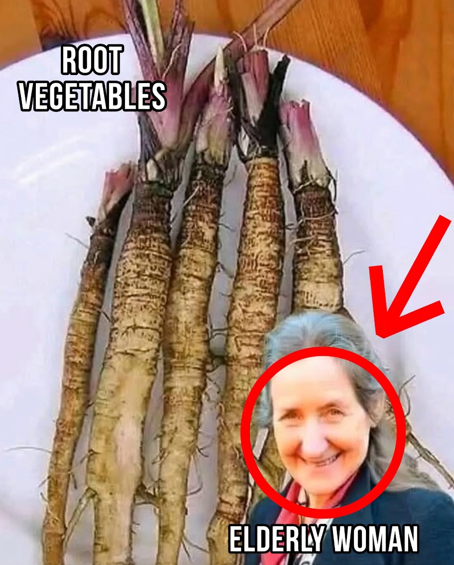 The Benefits of Greater Burdock Root: A Powerful Support in Cancer Treatment