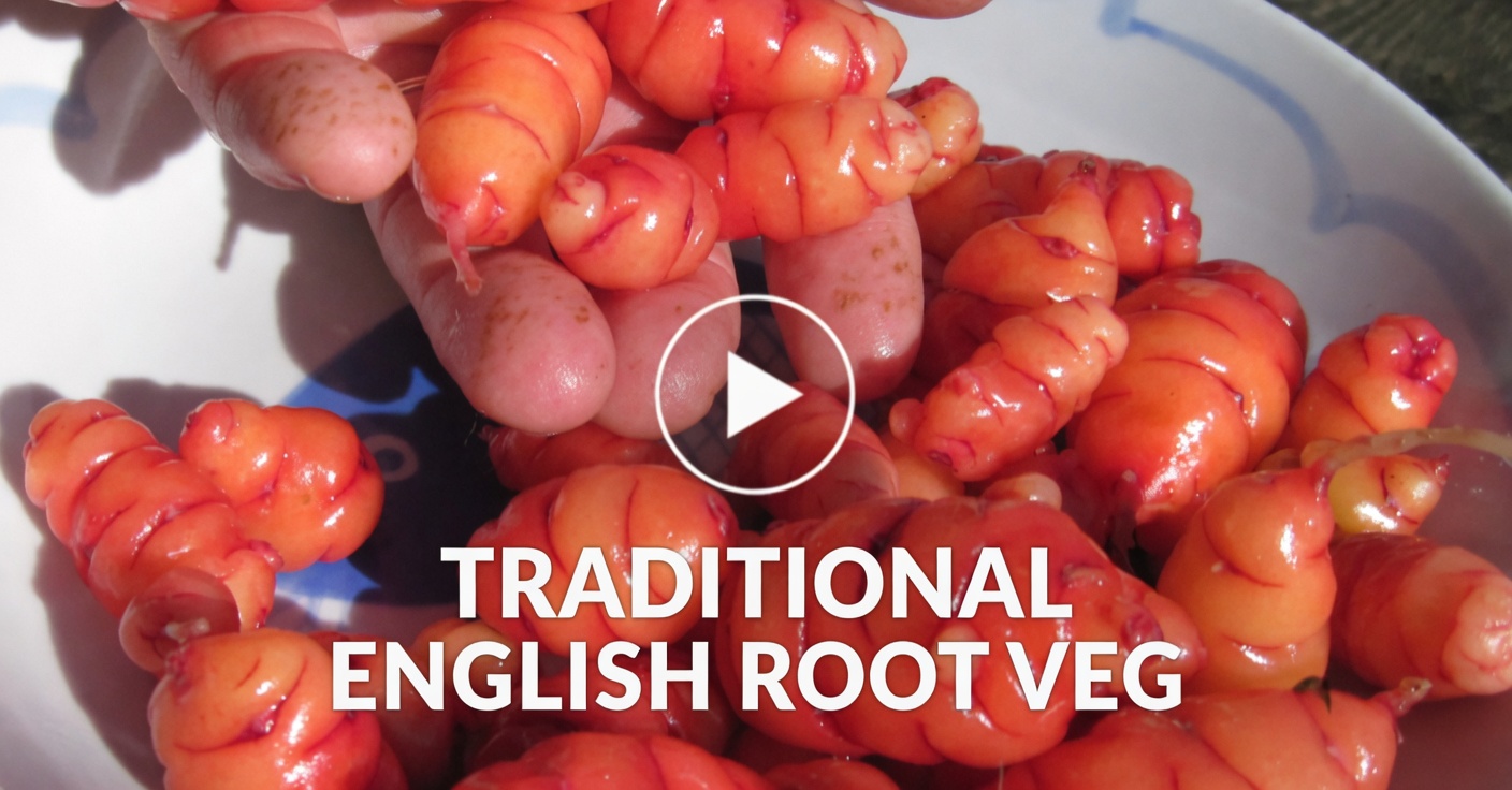 Chickpeas and Eggs: A Protein-Packed, Meat-Free Alternative