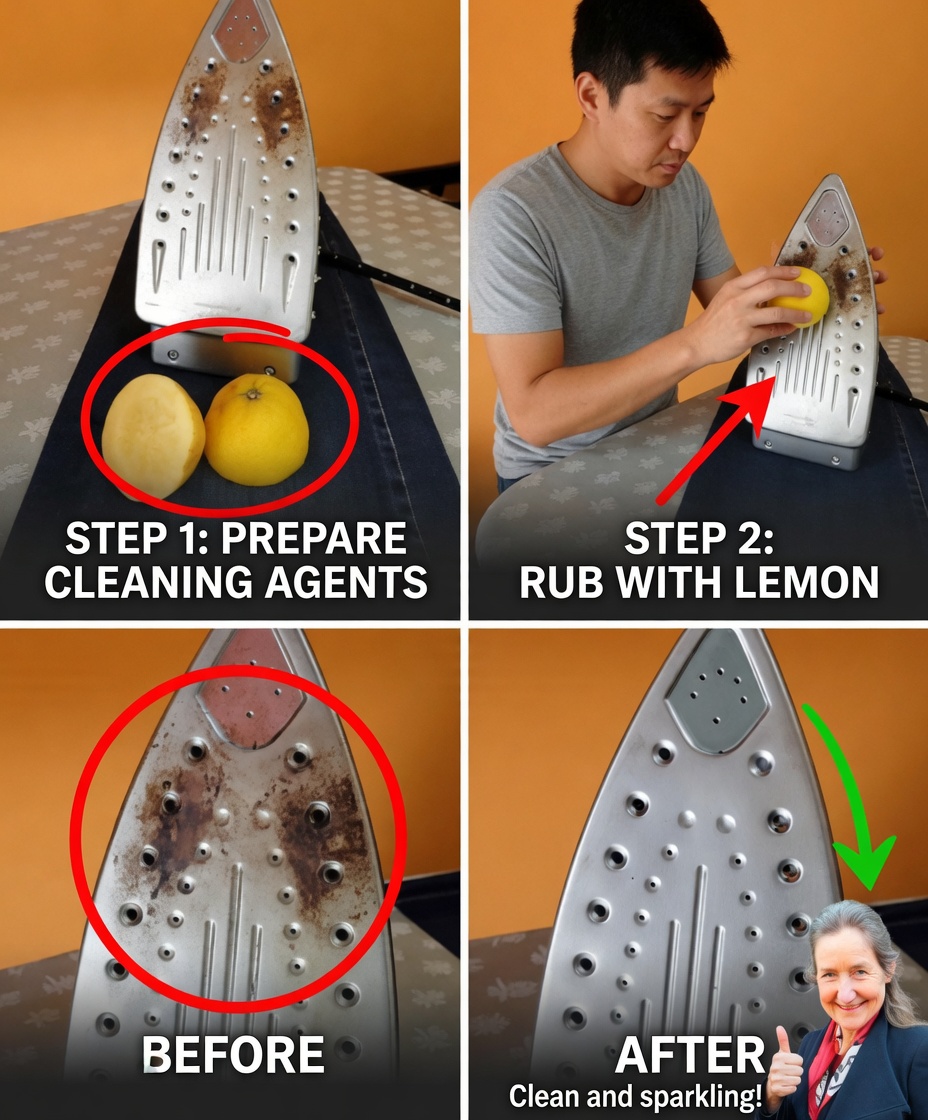 Natural Steam Iron Cleaner