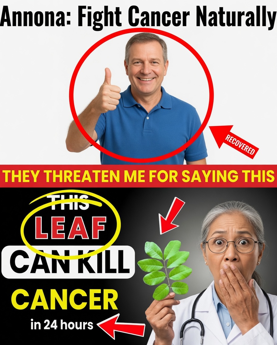 The Hidden Power of Soursop Leaves: Can Nature Support Your Body’s Defense?